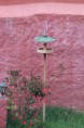 /album/comedero-de-pajaros-/img-5984-jpg/